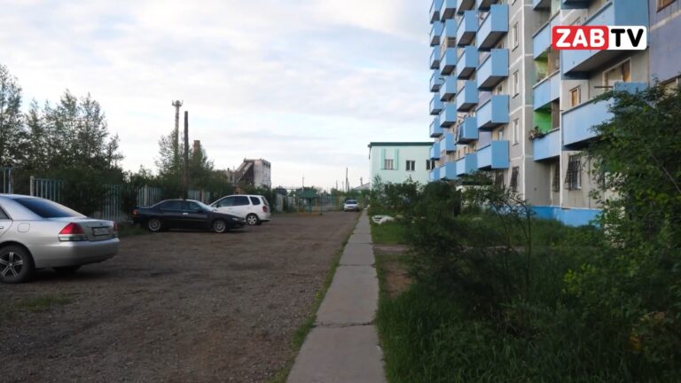 Сироты в Забайкалье требуют привлечь к ответу регионального депутата