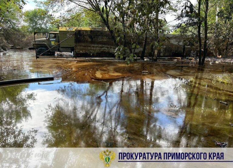 В Приморье утвердили уголовное дело о прорыве дамбы в Уссурийске