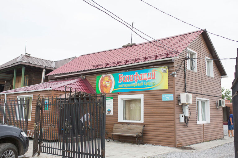 Директор хабаровской ветклиники «Бонифаций» включен в реестр недобросовестных поставщиков