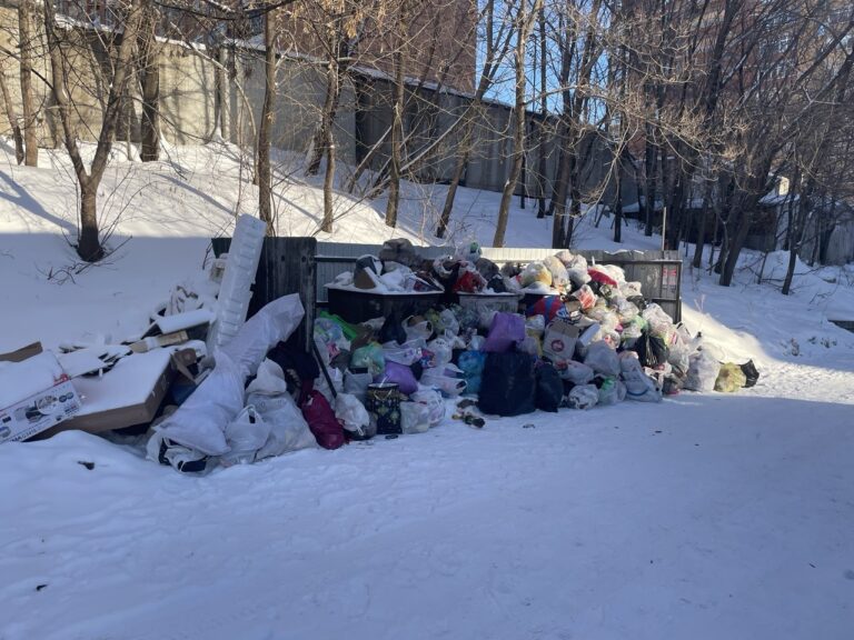 Не чистый праздник: в Хабаровске вывоз мусора на каникулах вновь обернулся проблемой