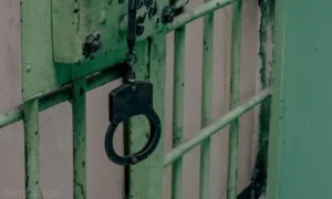 дмитрий цуканов