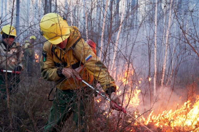 Более 63 тысяч гектаров прошел огонь лесного пожара в ЕАО