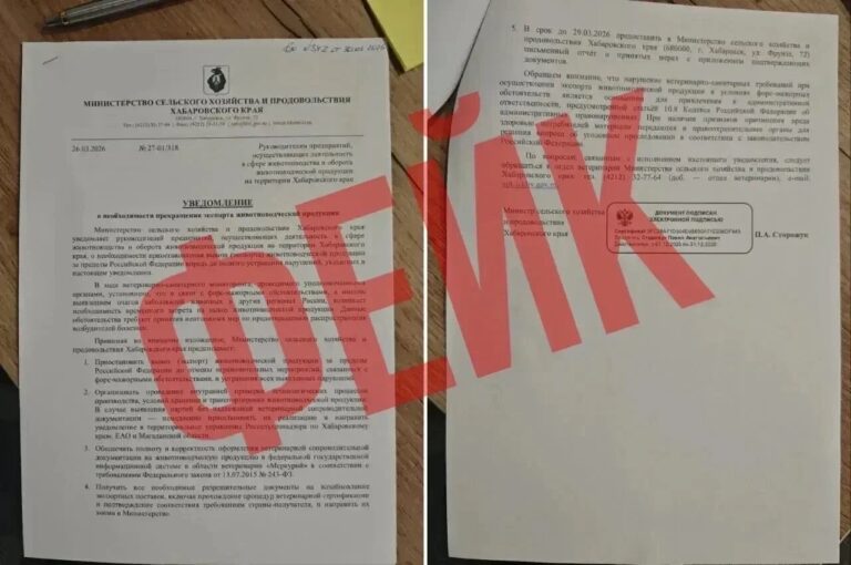 Фейковое сообщение получили предприниматели Хабаровского края