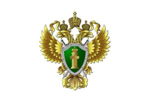 Вдове участника СВО на Сахалине назначили пенсию после вмешательства прокуратуры