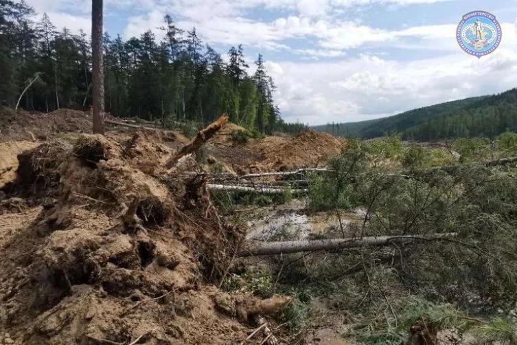 В Приамурье незаконные рубки находят с помощью спутника