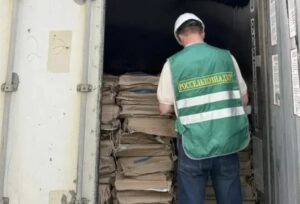 рыба без документов