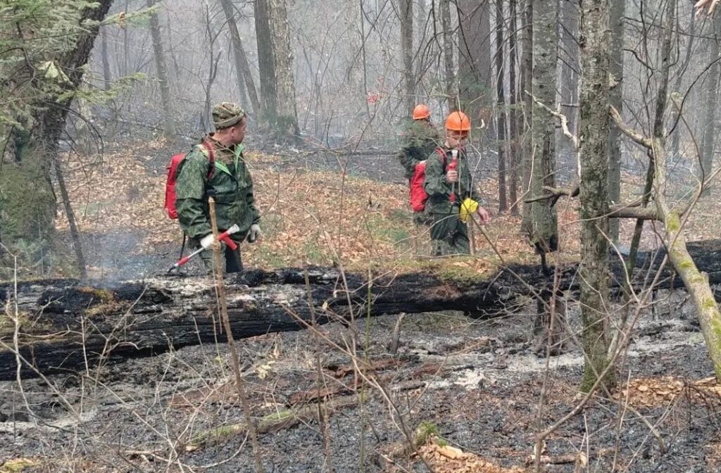 Огонь в Большехехцирском заповеднике тушили несколько дней