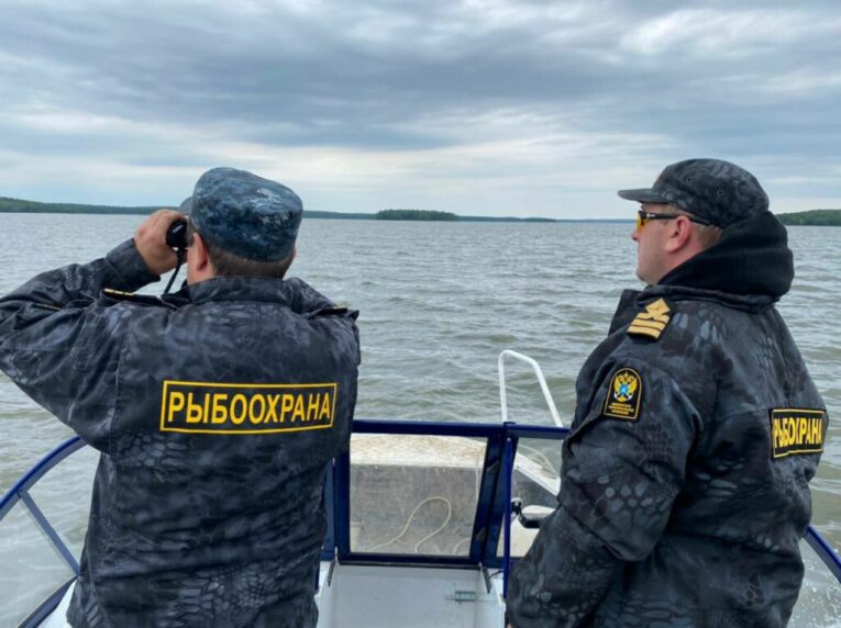 Браконьеры с Сахалина получили срок за вылов горбуши